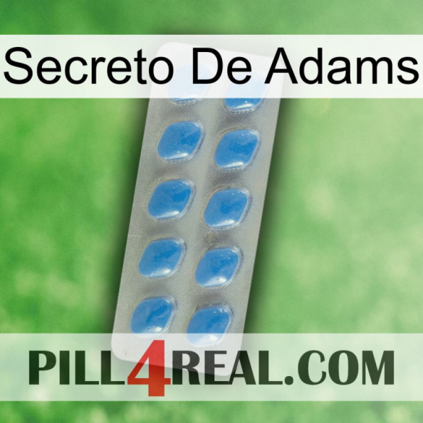 Adams Secret 22.jpg